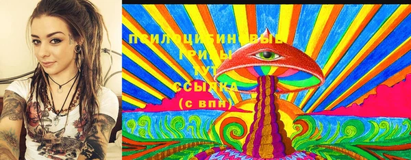 spice Бронницы